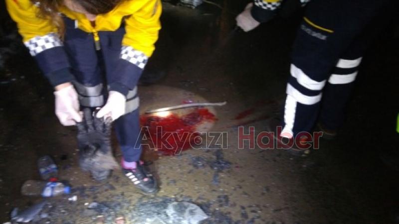 Kazada Yaralanan Kadının Kolu Kesilecek