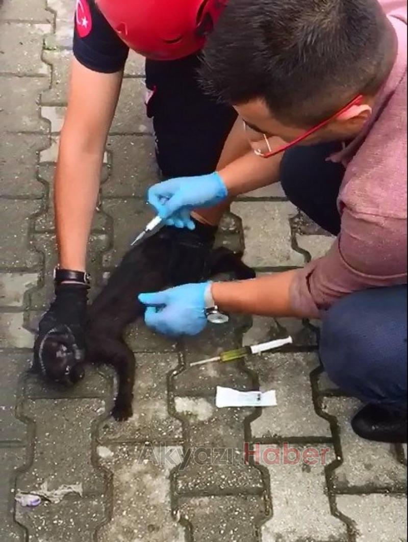 Kedi Aracın Motoruna Sıkıştı