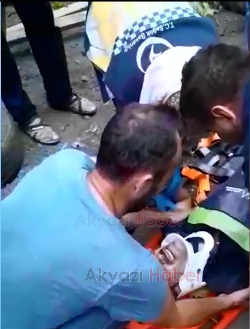 Kestiği ağacın altında kaldı Arı kovanları için yer açıyordu