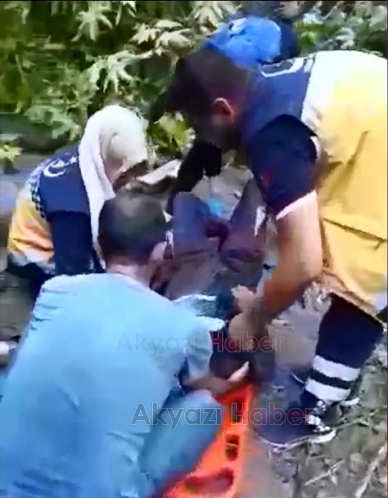 Kestiği ağacın altında kaldı Arı kovanları için yer açıyordu