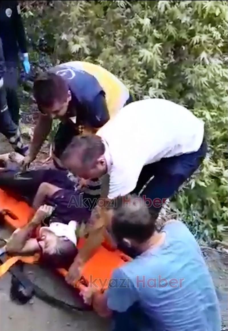 Kestiği ağacın altında kaldı Arı kovanları için yer açıyordu