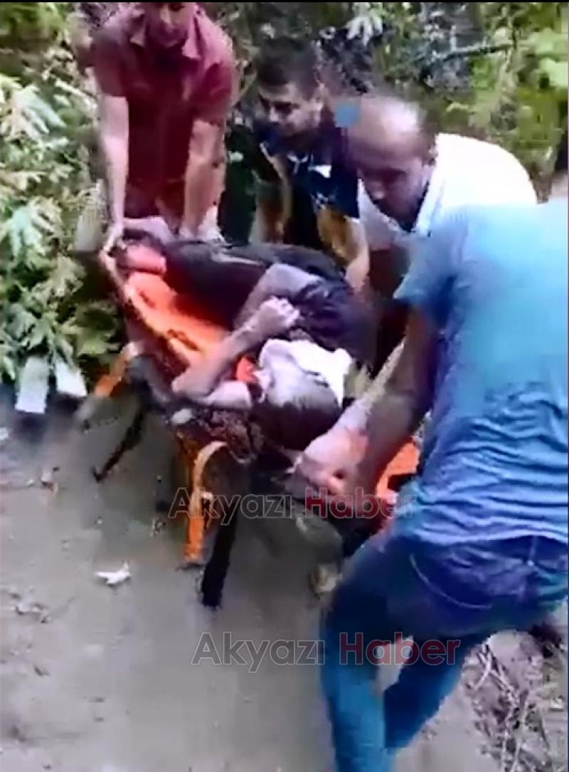 Kestiği ağacın altında kaldı Arı kovanları için yer açıyordu