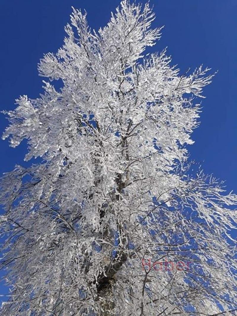 Kırağı sonrası Kartpostallık görüntüler oluştu