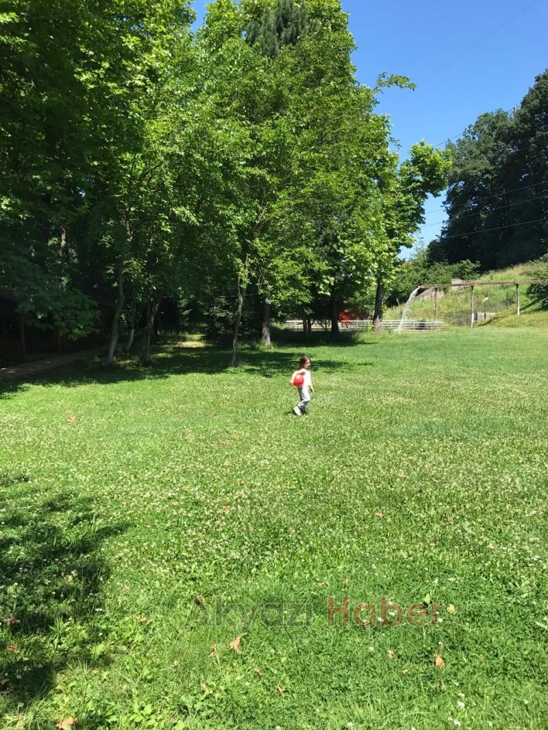 Kırmızı Değirmenden Huzur Dolu Serpme Kahvaltı