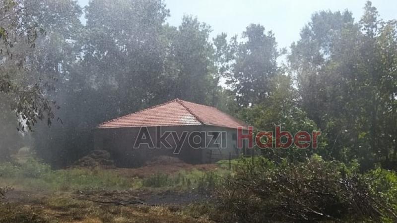 KIZILCIK ORMANDA ÇALILIK YANGINI