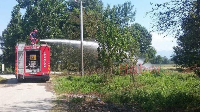 KIZILCIK ORMANDA ÇALILIK YANGINI