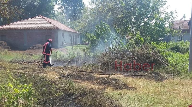 KIZILCIK ORMANDA ÇALILIK YANGINI