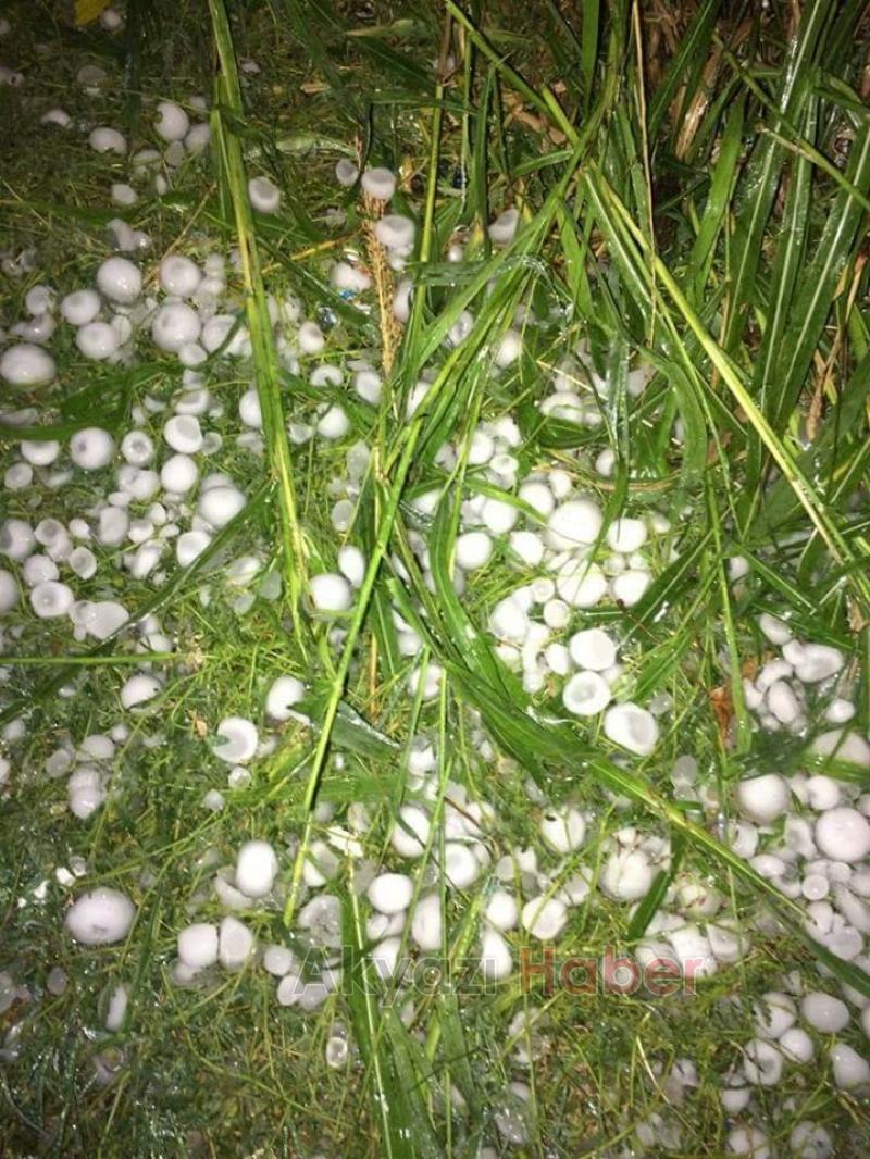 Kocaali'yi dolu vurdu, hasar büyük