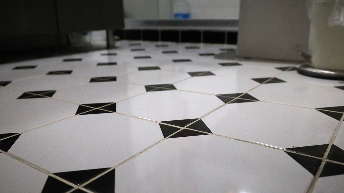 Kokarca kabusu son buldu