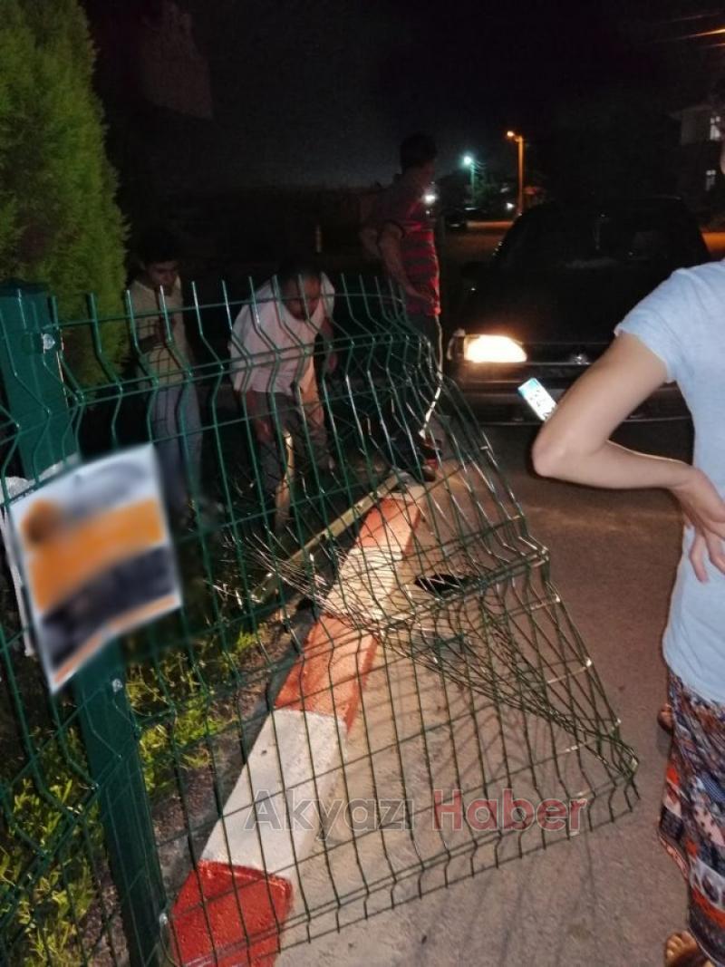 KONTROLÜ KAYBEDiNCE ÇiTLERE GiRDi