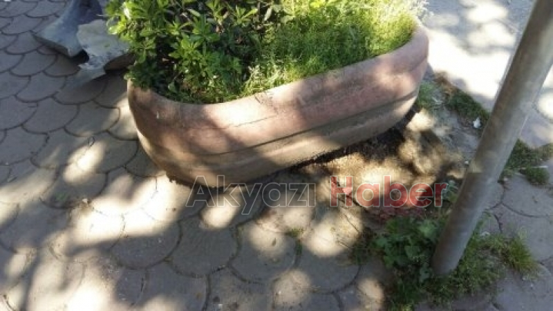 Kontrolünü Kaybeden Otomobil Beton Saksıya Çarptı