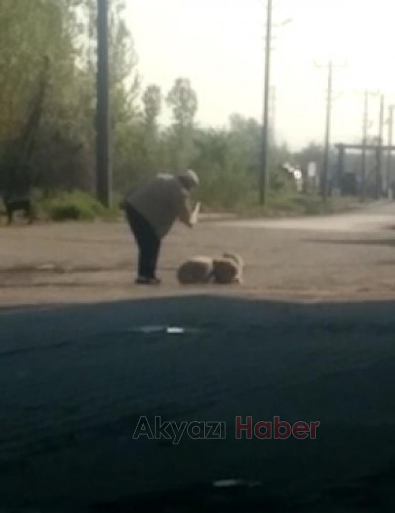 Köpeği Sopa İle Dövdü