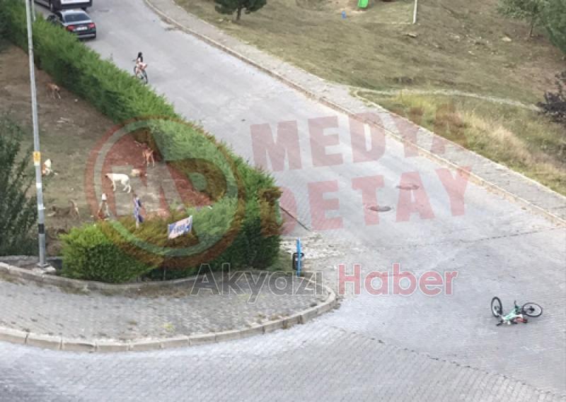 Köpekler saldırdı, canlarını zor kurtardılar
