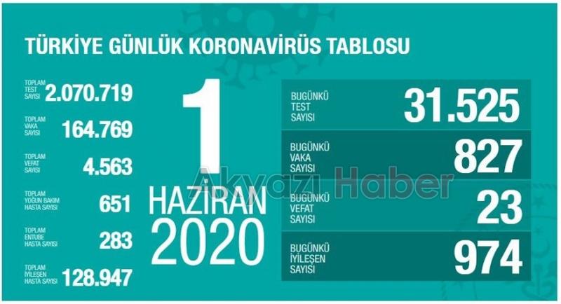 Koronada 1 Haziran verileri