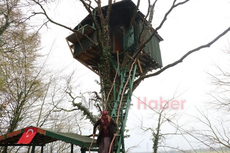 Koronadan korunmak için ağaç evde yaşıyorlar