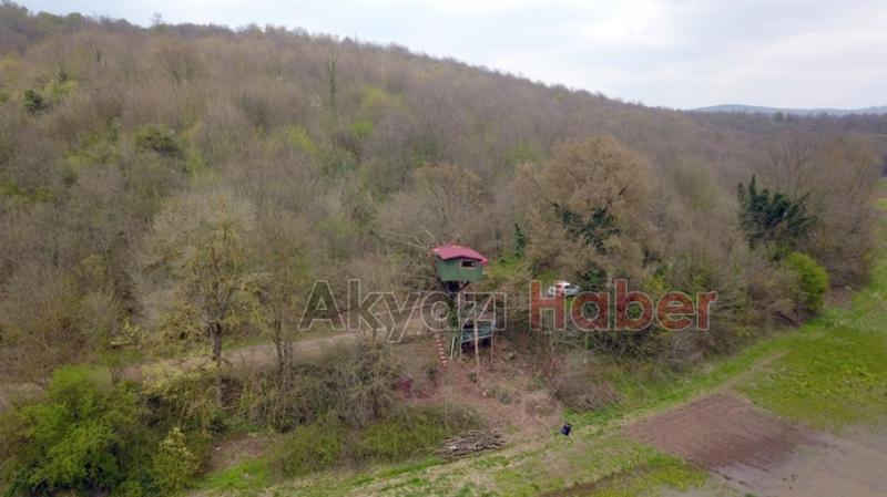 Koronadan korunmak için ağaç evde yaşıyorlar