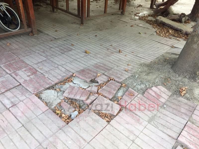 Küçücek Merkezde ki Kullanılmayan Çay Bahçesi Bakım İstiyor