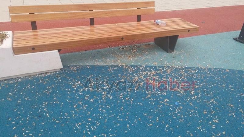 Kültür Parkında Yapılan Kültürsüzlük