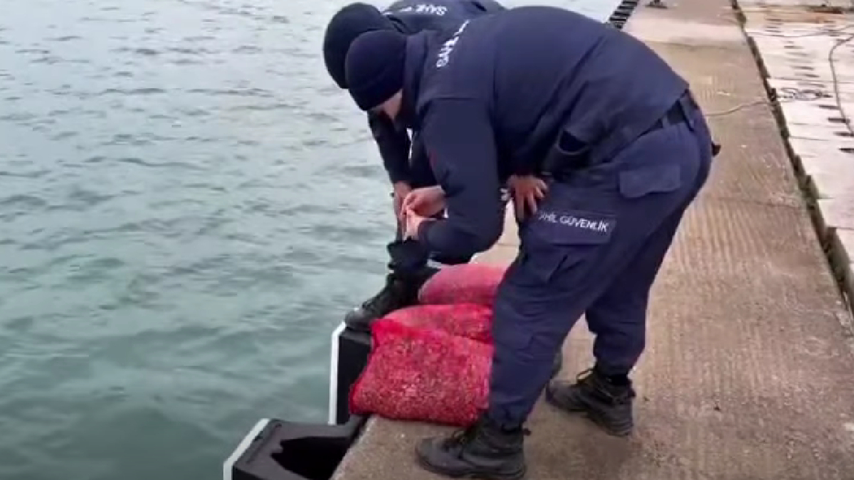 Kum şırlanı avcılarına operasyon