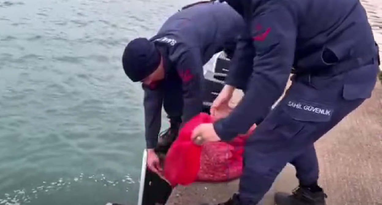 Kum şırlanı avcılarına operasyon