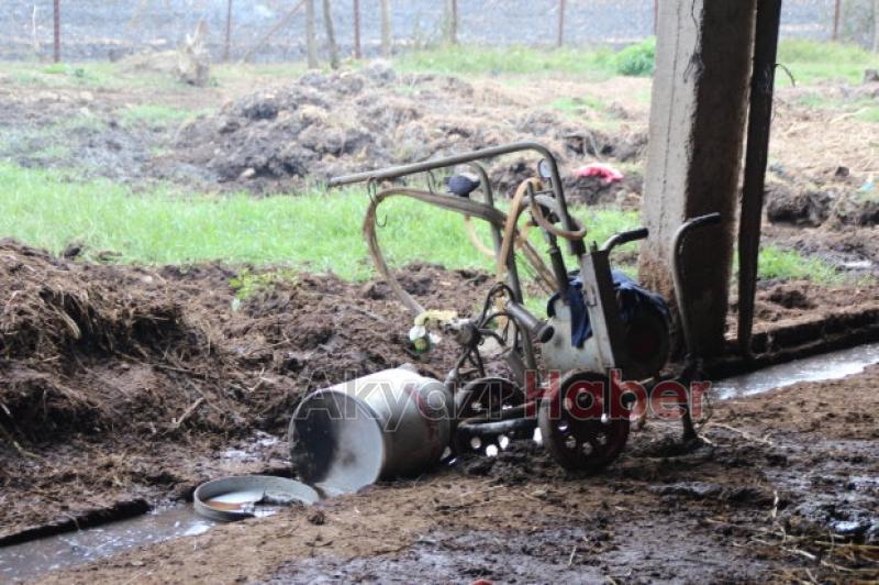 Kumköprü mahallesinde Yangın