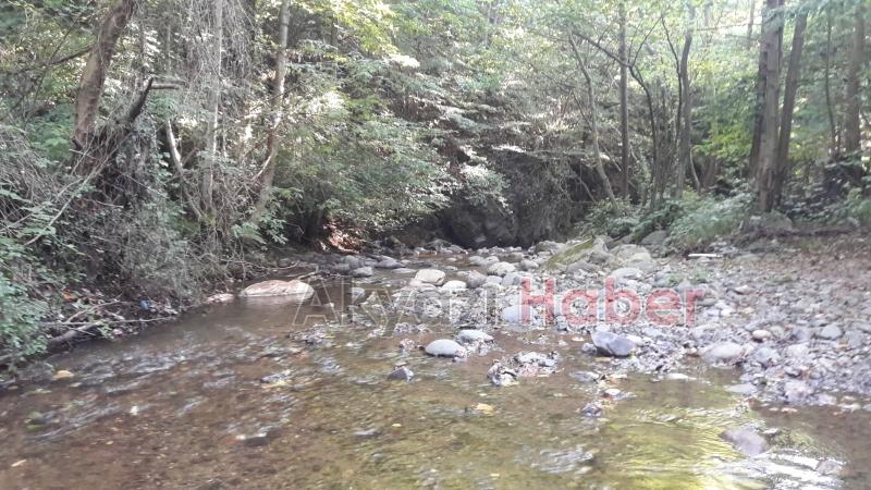 Kurban İbadetine Uymayan Hareketler 