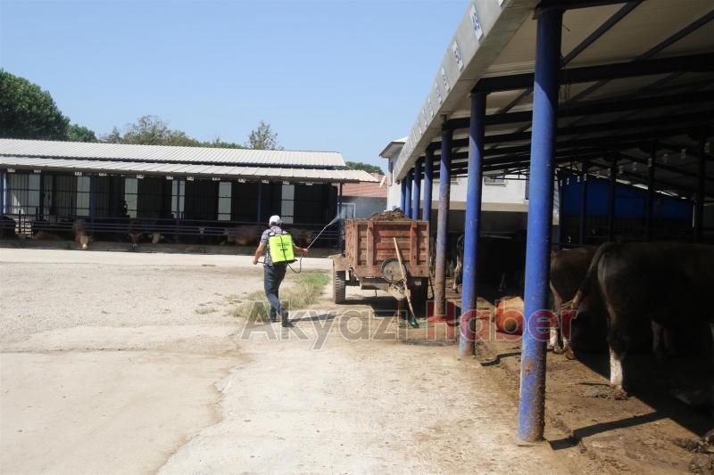 KURBAN KESİM YERLERİ HEM DENETLENİYOR HEM DE İLAÇLANIYOR