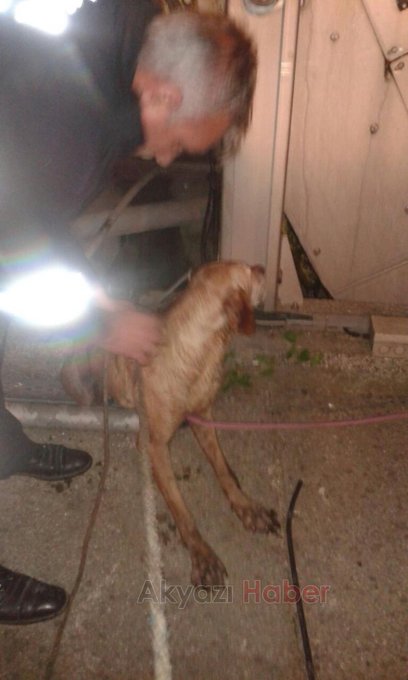Kuyuya Düşen Köpeği İtfaiye Kurtardı