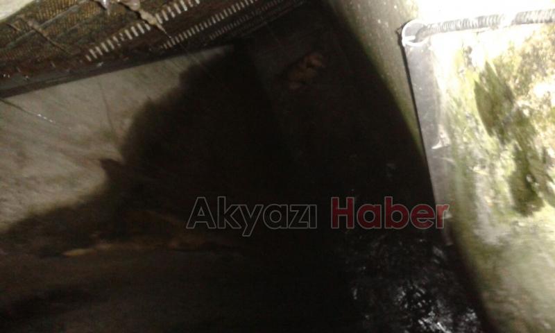 Kuyuya Düşen Köpeği İtfaiye Kurtardı