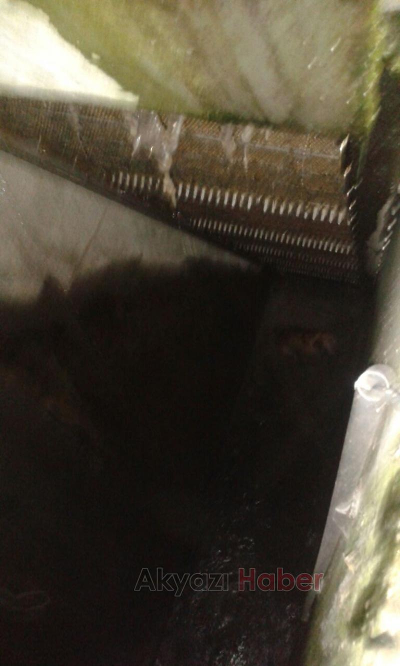 Kuyuya Düşen Köpeği İtfaiye Kurtardı