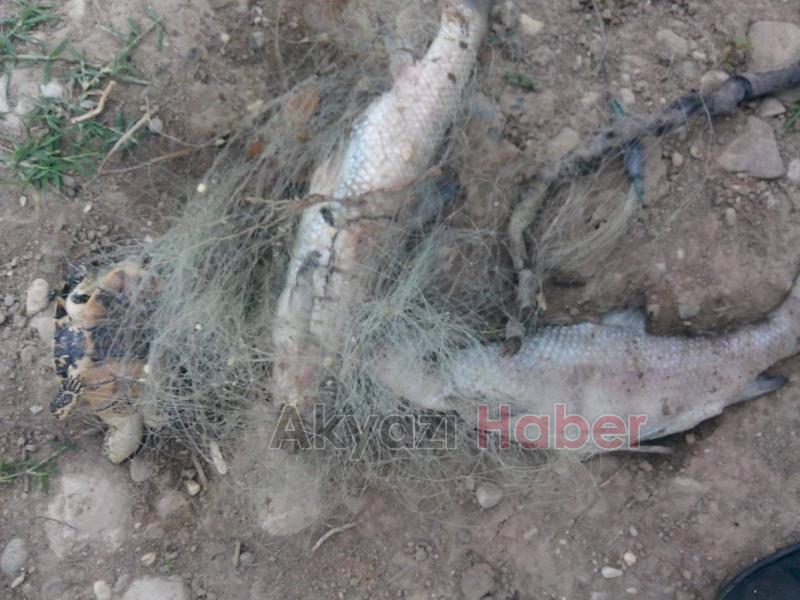 Kuzuluk Göletinde Yasak File Vahşeti