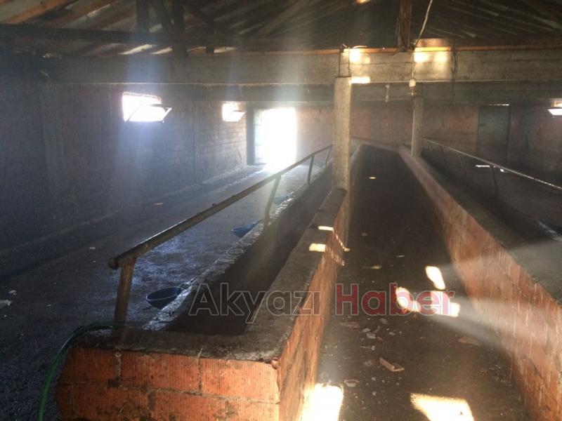 Kuzuluk Mahallesinde Ahır Yangını