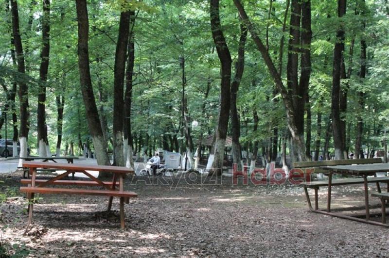 Kuzuluk Orman Park Piknik Alanı Hizmetinizde