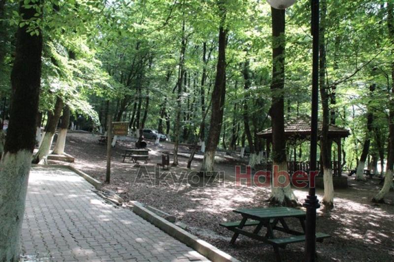 Kuzuluk Orman Park Piknik Alanı Hizmetinizde
