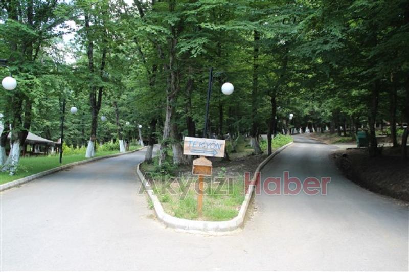 Kuzuluk Orman Park Piknik Alanı Hizmetinizde