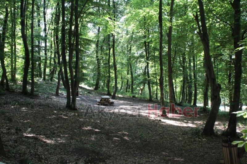 Kuzuluk Orman Park Piknik Alanı Hizmetinizde