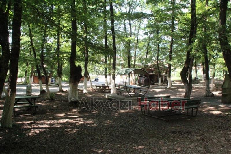 Kuzuluk Orman Park Piknik Alanı Hizmetinizde