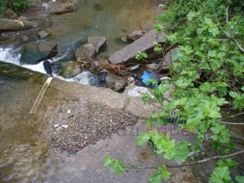 Kuzuluk Mahalle Sakinleri Bir Ağızdan Haykırıyor