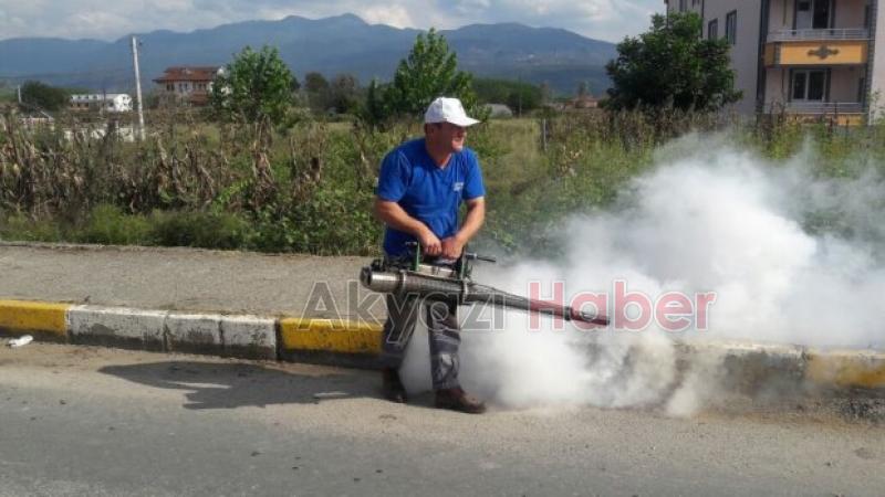 LARVA MÜCADELESİ ve SAHİPSİZ SOKAK HAYVANLARI REHABİLİTE ÇALIŞMALARI SÜRÜYOR