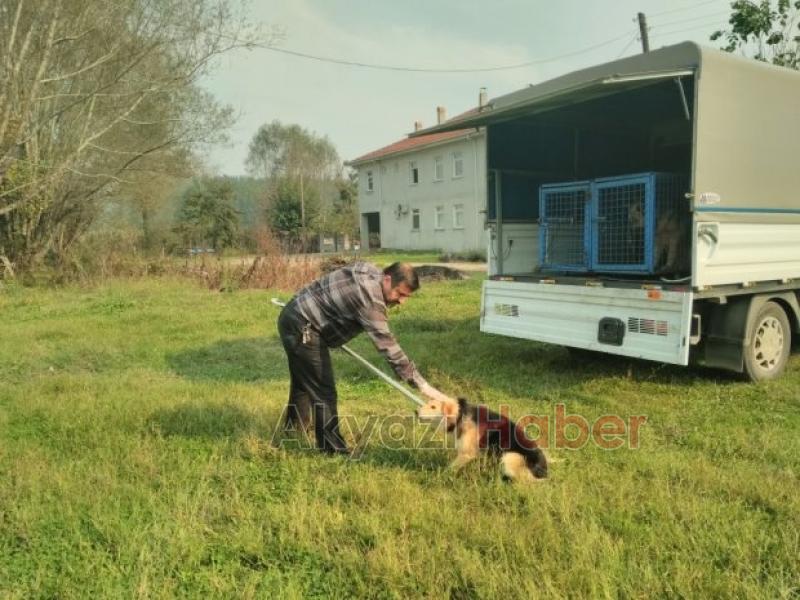 LARVA MÜCADELESİ ve SAHİPSİZ SOKAK HAYVANLARI REHABİLİTE ÇALIŞMALARI SÜRÜYOR