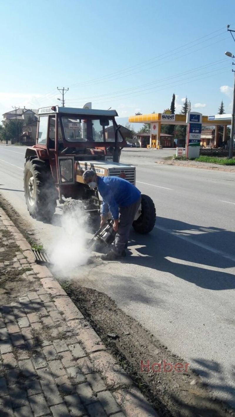 LARVA MÜCADELESİ ve SAHİPSİZ SOKAK HAYVANLARI REHABİLİTE ÇALIŞMALARI SÜRÜYOR