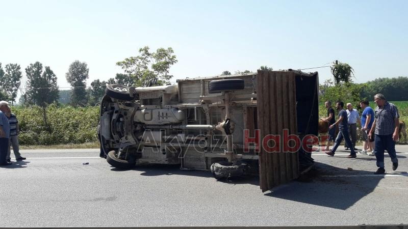 Lastiği Patlayan İnek Yüklü Kamyonet Devrildi 