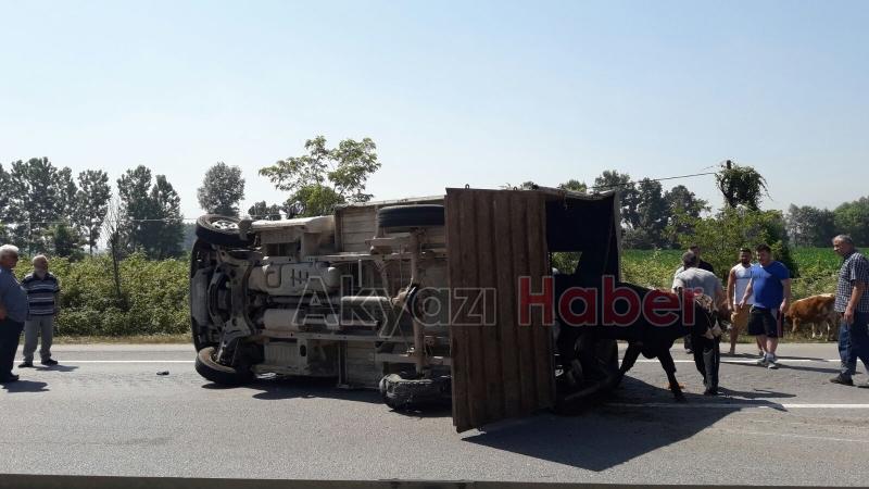Lastiği Patlayan İnek Yüklü Kamyonet Devrildi 