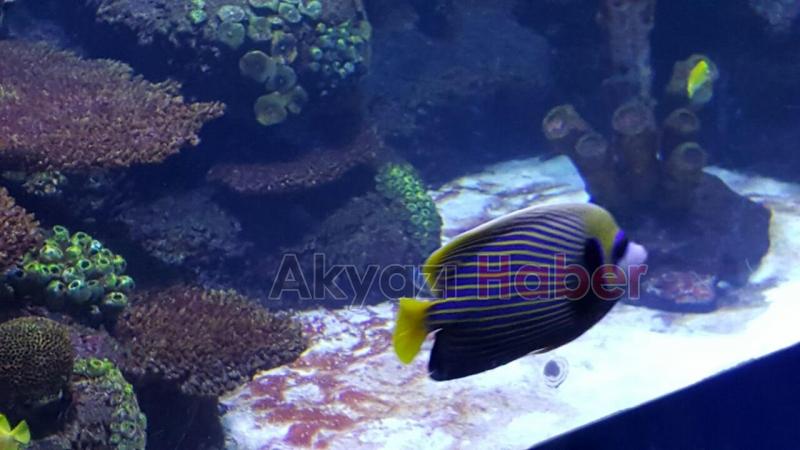 Madanoğlu Ortaokulundan Eskişehir Gezisi