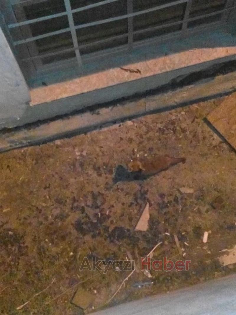 Mahsur Kalan Tilkiyi İtfaiye Kurtardı