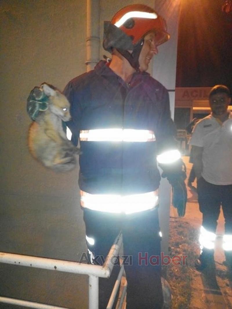 Mahsur Kalan Tilkiyi İtfaiye Kurtardı