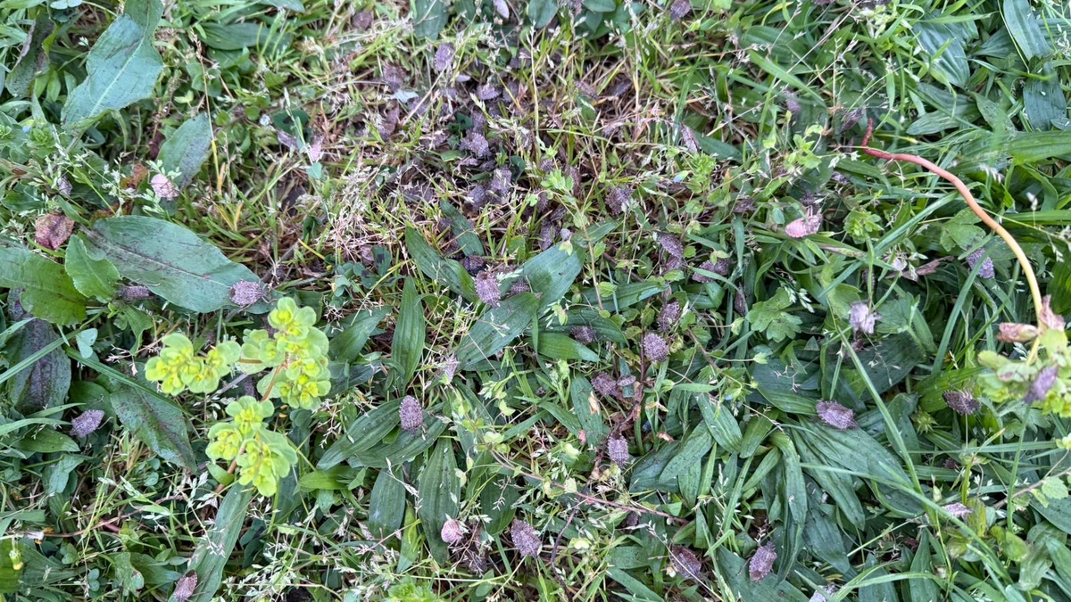 Makineyi çalıştırınca gözlerine inanamadı