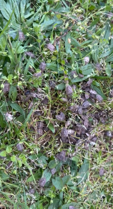 Makineyi çalıştırınca gözlerine inanamadı