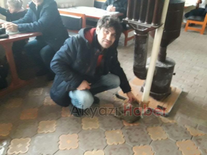 Masaj Yapan Kedi Görenleri Hayrete Düşürdü