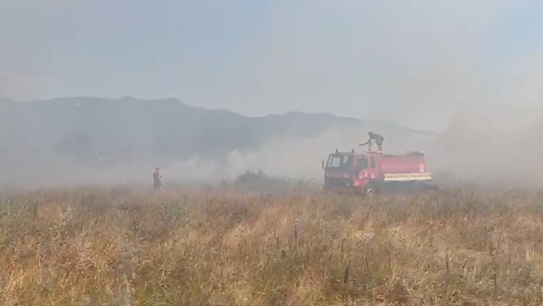 Meradaki yangını itfaiye söndürdü
